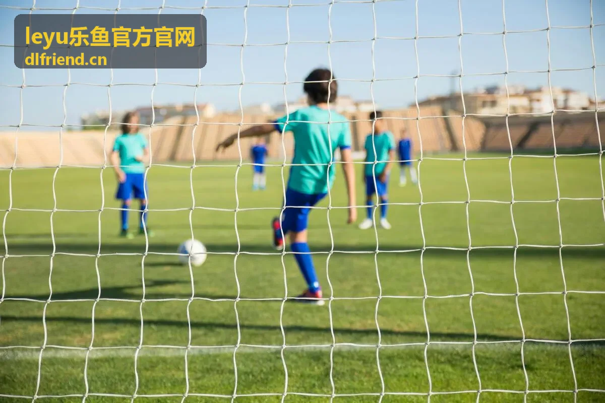 乐鱼官方官网品牌形象背景图