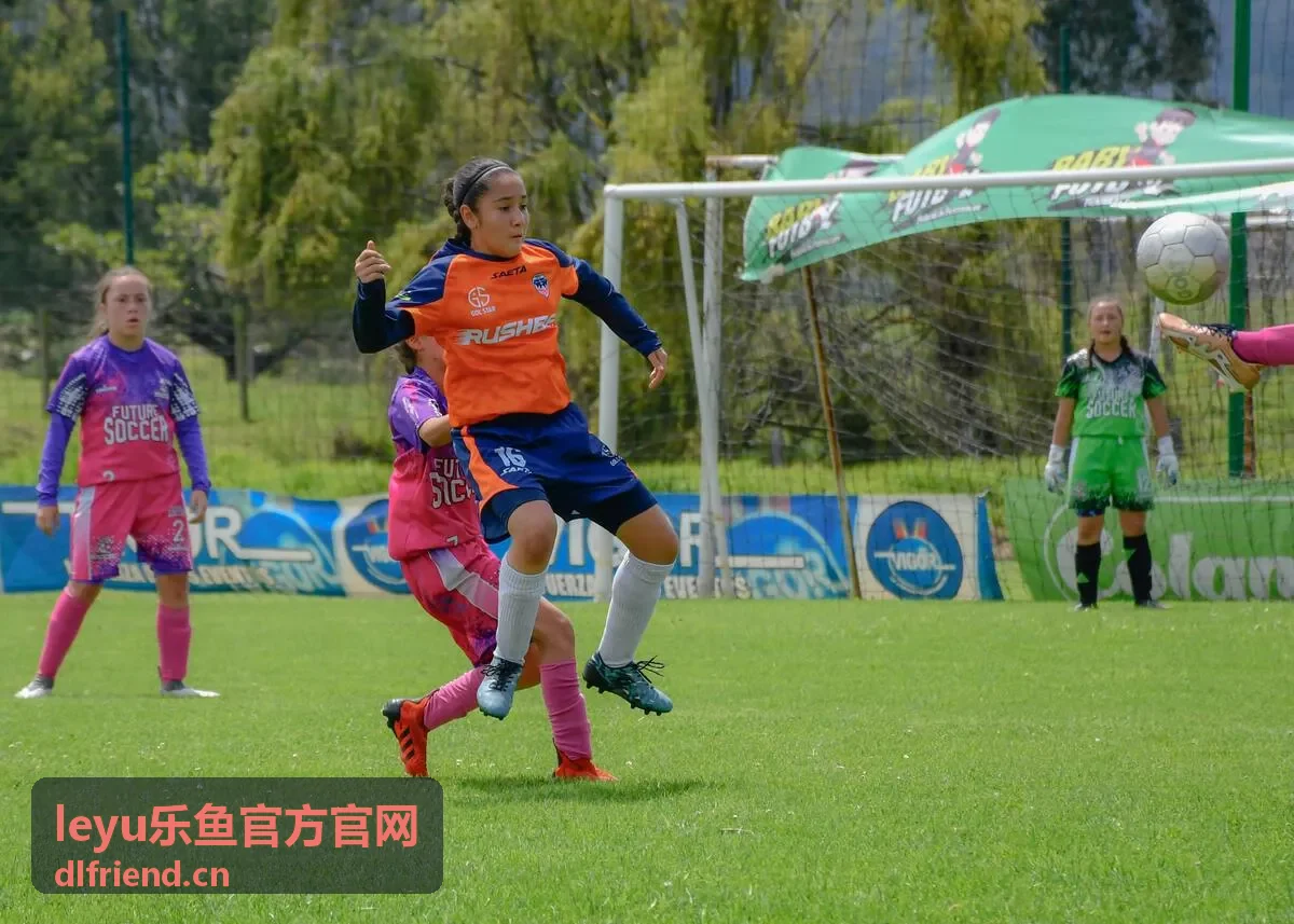 乐鱼会员专属活动参与指南