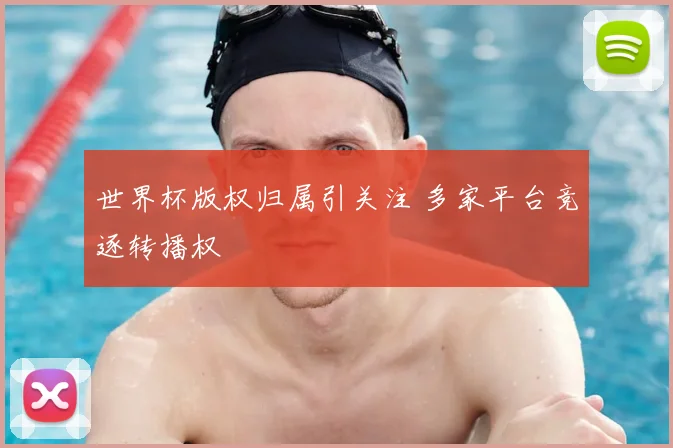 世界杯版权归属引关注 多家平台竞逐转播权