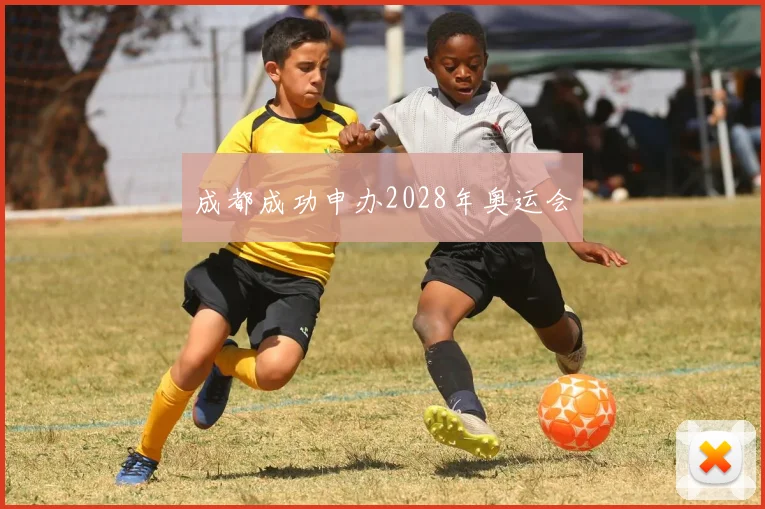 成都成功申办2028年奥运会