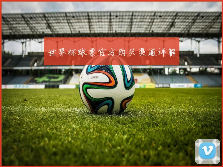 世界杯球票官方购买渠道详解