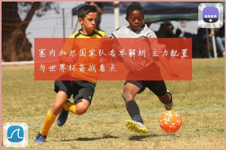 塞内加尔国家队名单解析 主力配置与世界杯备战看点