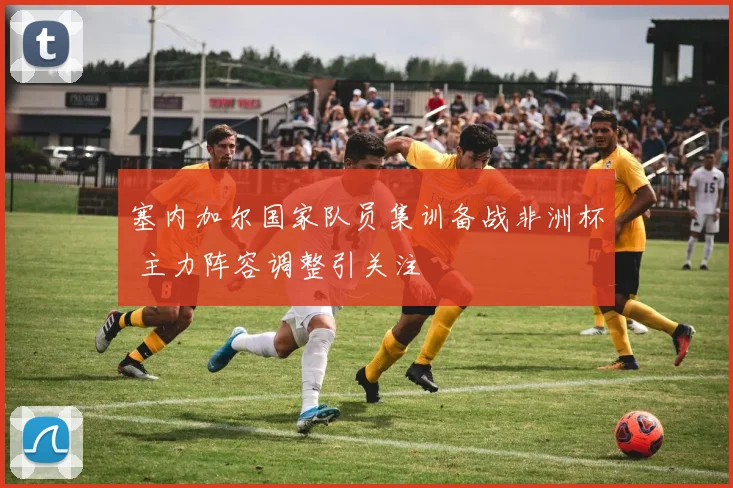 塞内加尔国家队员集训备战非洲杯 主力阵容调整引关注