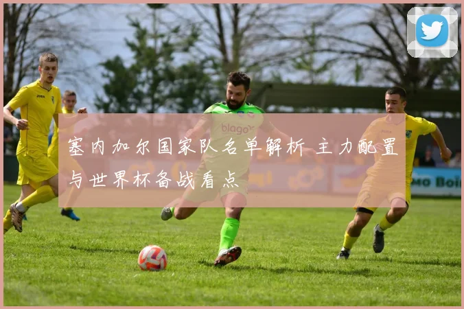 塞内加尔国家队名单解析 主力配置与世界杯备战看点